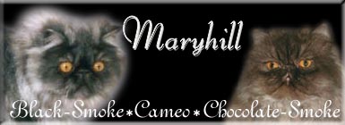 Maryhill Banner